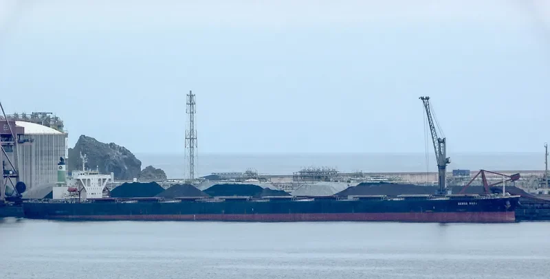 BERGE ROSA Bulk Carrier IMO 9346378 photo 3