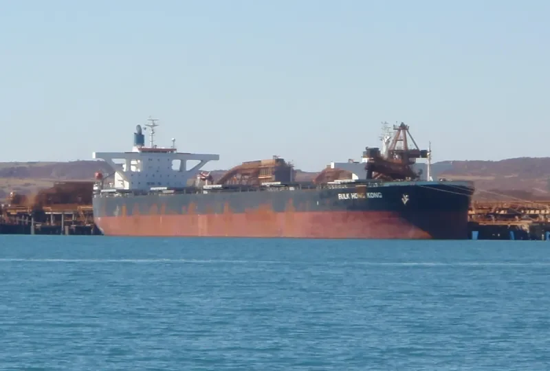 BERGE ROSA Bulk Carrier IMO 9346378 photo 4