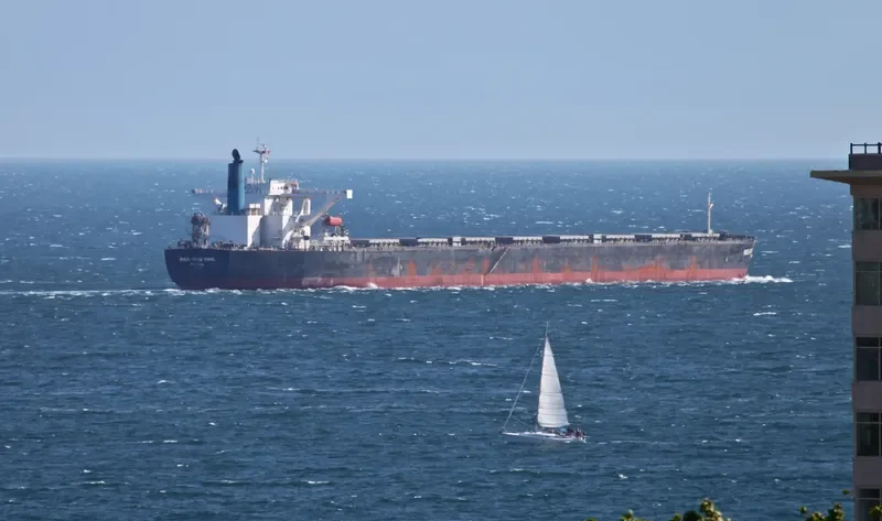 BERGE ROSA Bulk Carrier IMO 9346378 photo 5