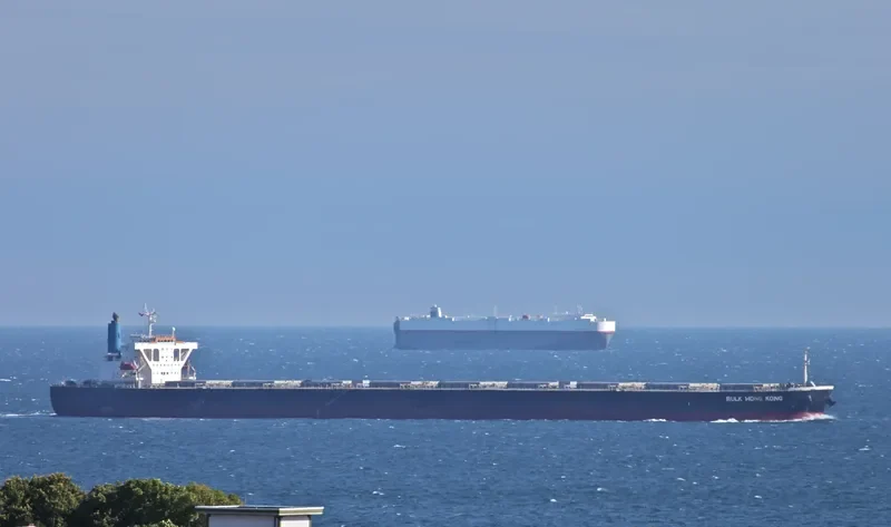 BERGE ROSA Bulk Carrier IMO 9346378 photo 6