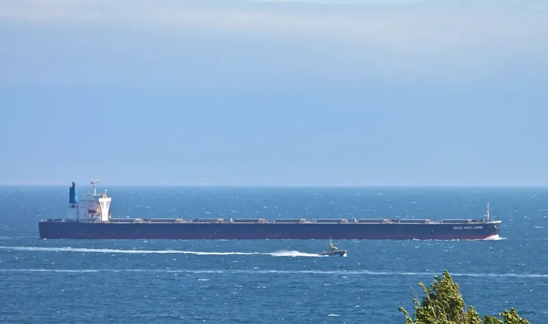 BERGE ROSA Bulk Carrier IMO 9346378 photo 7
