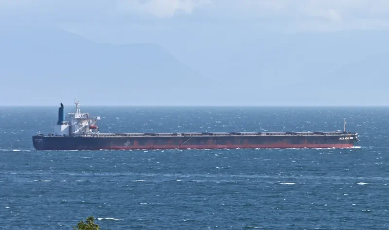 BERGE ROSA Bulk Carrier IMO 9346378 photo 8