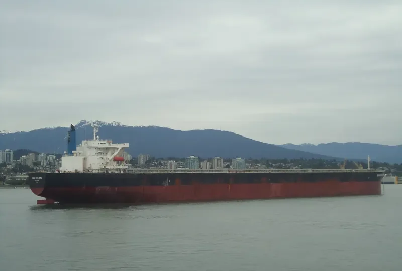 BERGE ROSA Bulk Carrier IMO 9346378 photo 9