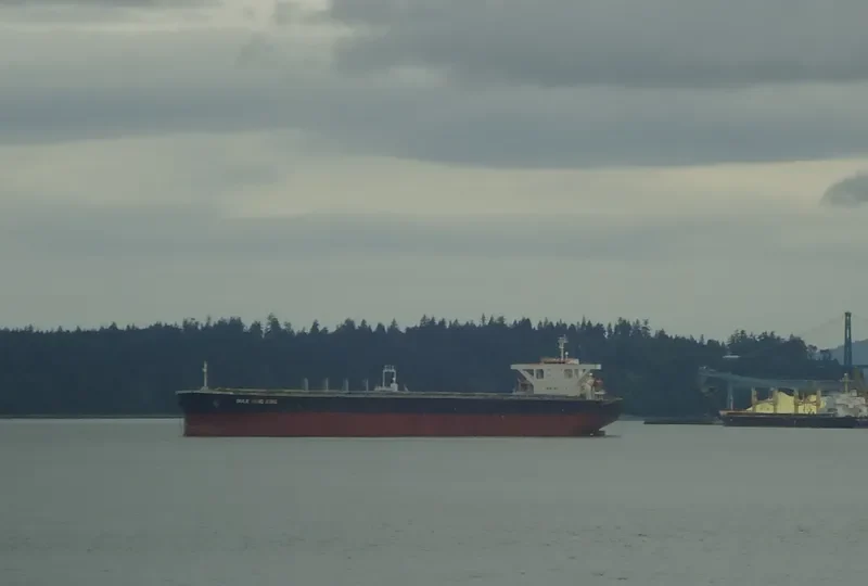 BERGE ROSA Bulk Carrier IMO 9346378 photo 10