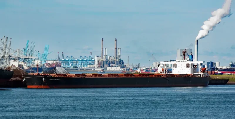 CAPE MERLIN Bulk Carrier IMO 9346380