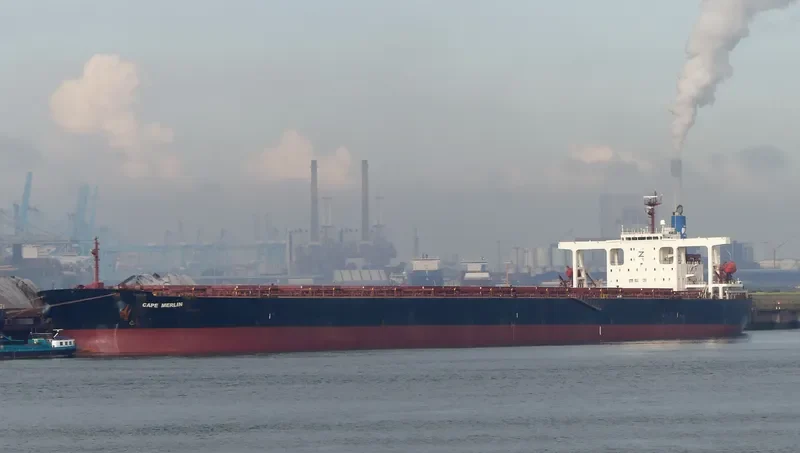 CAPE MERLIN Bulk Carrier IMO 9346380 photo 4