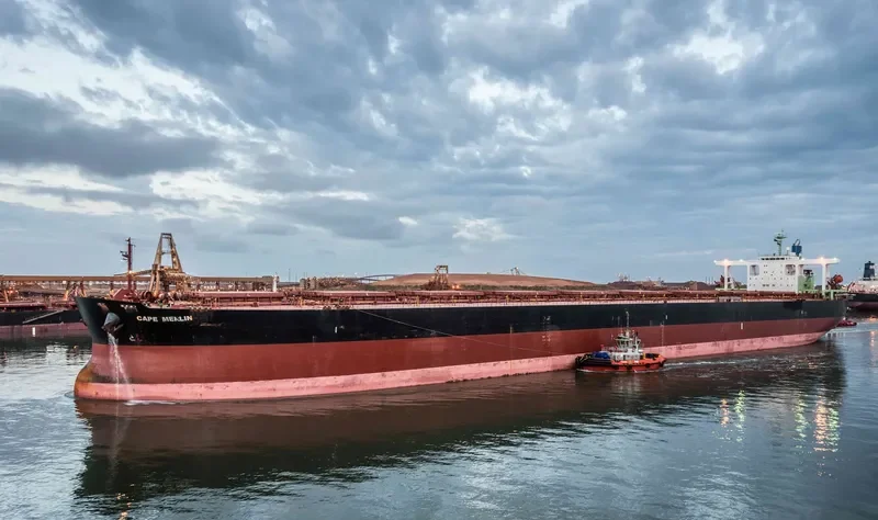 CAPE MERLIN Bulk Carrier IMO 9346380 photo 5