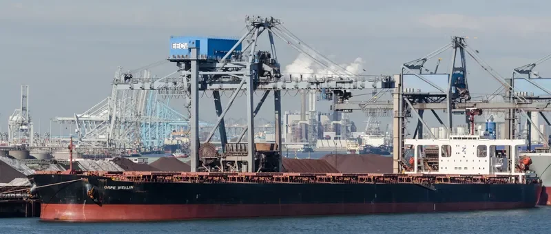 CAPE MERLIN Bulk Carrier IMO 9346380 photo 6