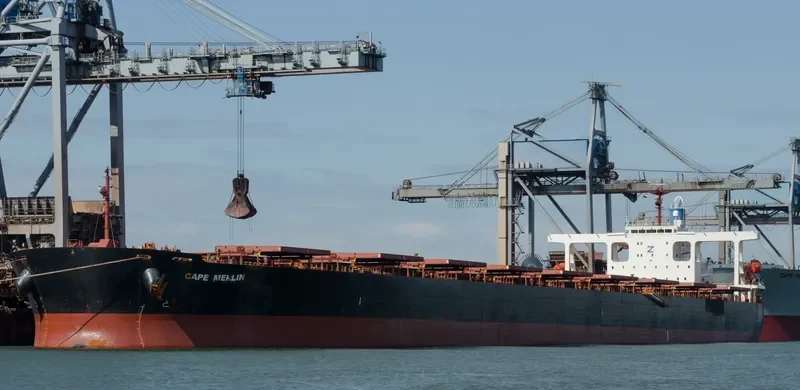 CAPE MERLIN Bulk Carrier IMO 9346380 photo 7