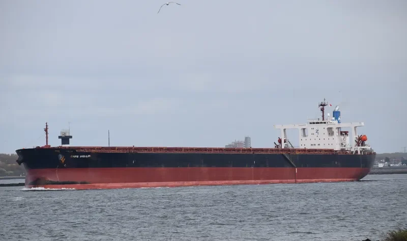 CAPE MERLIN Bulk Carrier IMO 9346380 photo 9