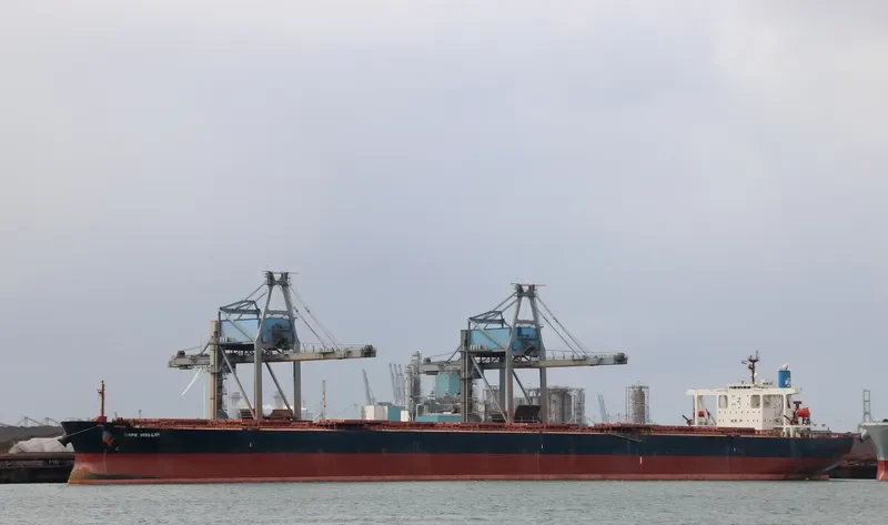CAPE MERLIN Bulk Carrier IMO 9346380 photo 10