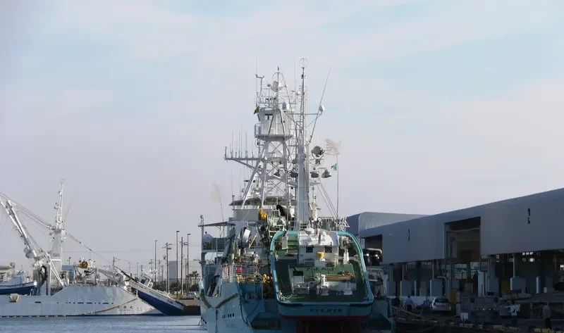 SOHO MARU NO.88 General Cargo IMO 9346392 photo 4