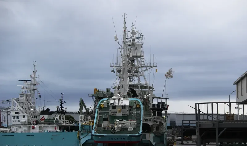 SOHO MARU NO.88 General Cargo IMO 9346392 photo 8