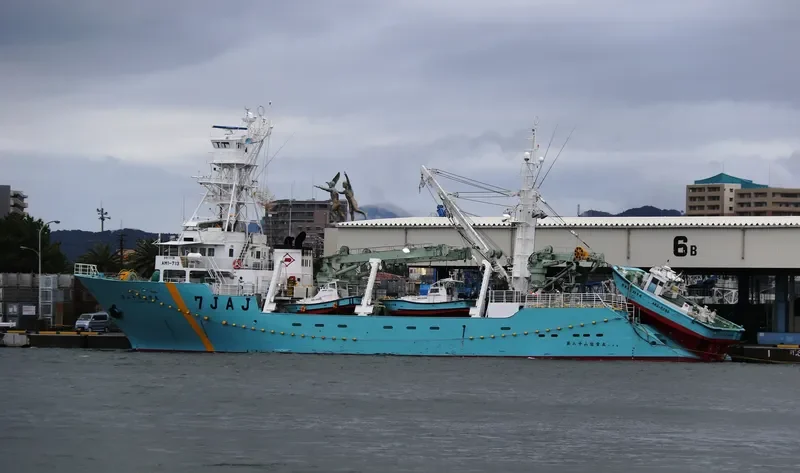 SOHO MARU NO.88 General Cargo IMO 9346392 photo 9
