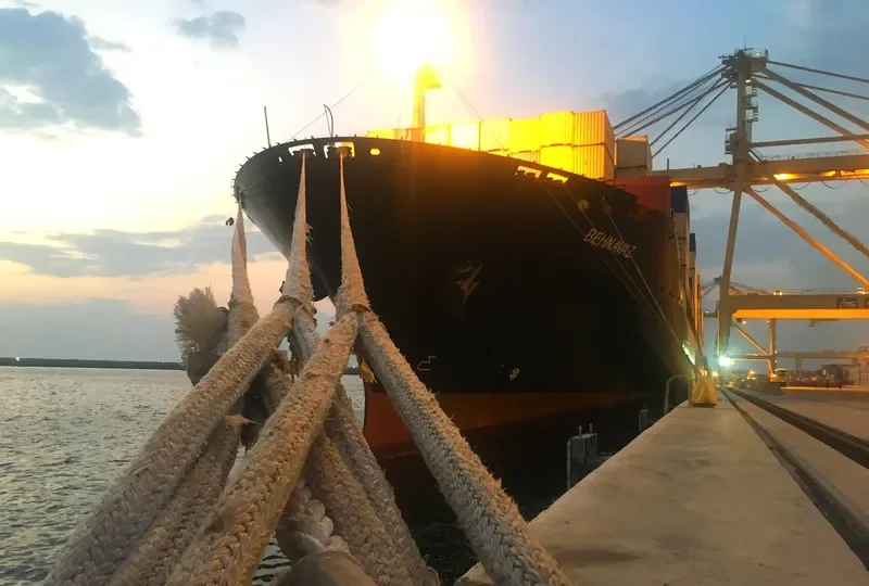 BEHNAVAZ Container Ship IMO 9346548 photo 3