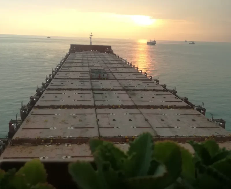 BEHNAVAZ Container Ship IMO 9346548 photo 6