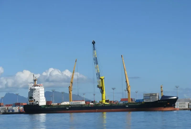 TCI VIJAY Container Ship IMO 9346562 photo 6