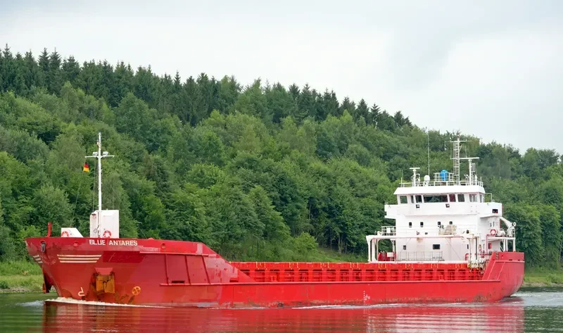 BLUE ANTARES General Cargo IMO 9346689 photo 2