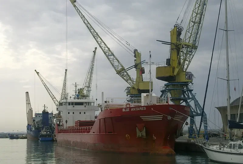 BLUE ANTARES General Cargo IMO 9346689 photo 4