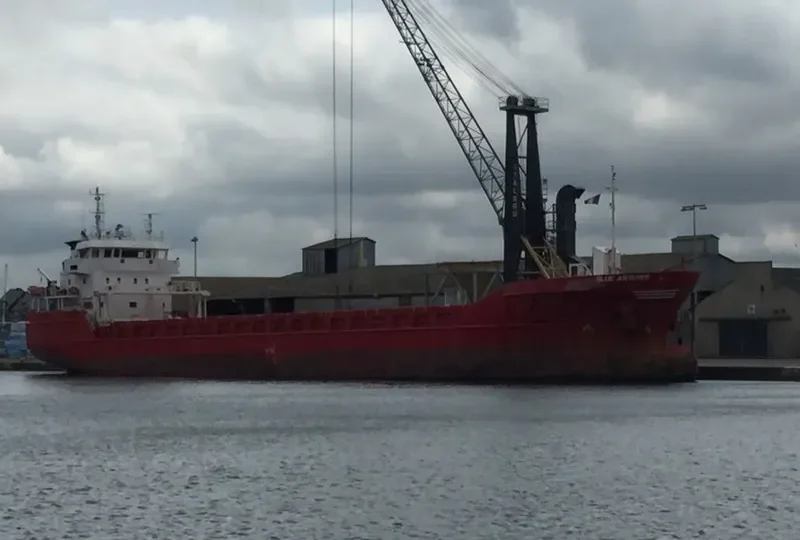 BLUE ANTARES General Cargo IMO 9346689 photo 6