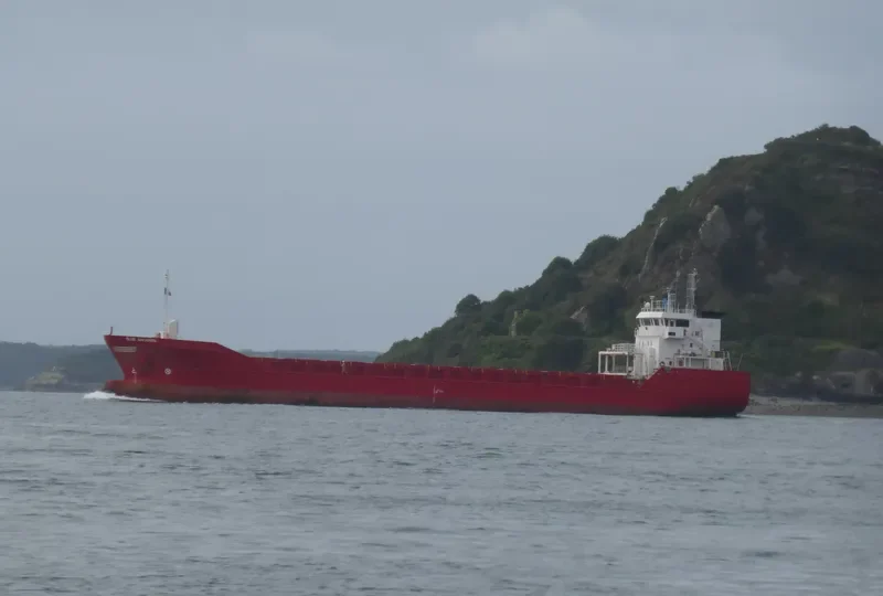 BLUE ANTARES General Cargo IMO 9346689 photo 8