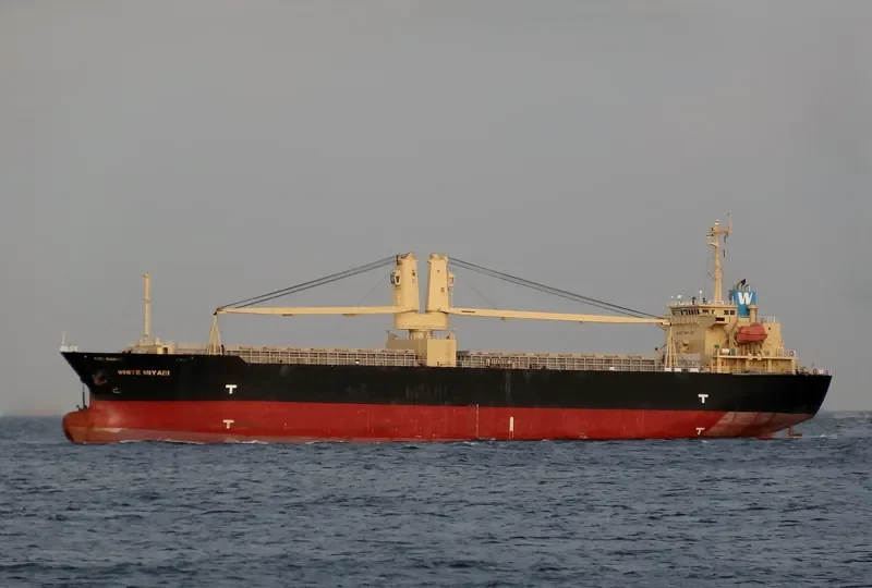 GRAND TAJIMA ONE General Cargo IMO 9347138 photo 5