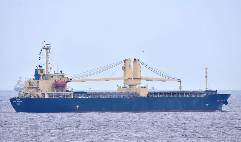 GRAND TAJIMA ONE General Cargo IMO 9347138 photo 9