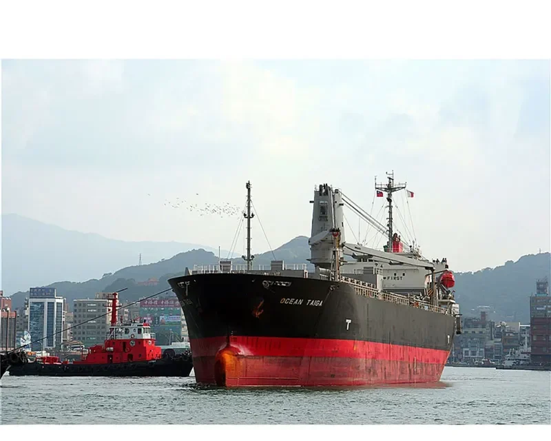 PRECIOUS OCEAN General Cargo IMO 9347140 photo 8