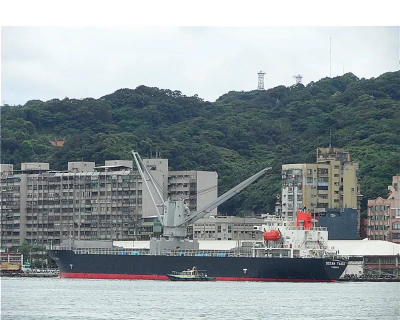 PRECIOUS OCEAN General Cargo IMO 9347140 photo 10