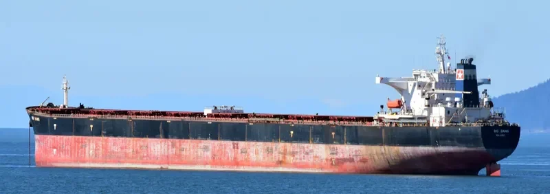 BIG BANG Bulk Carrier IMO 9347188 photo 2