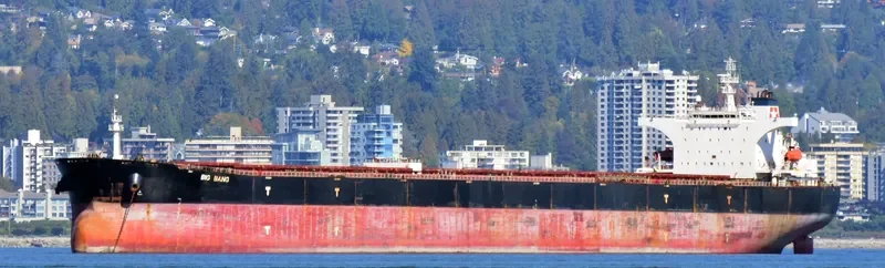 BIG BANG Bulk Carrier IMO 9347188 photo 4