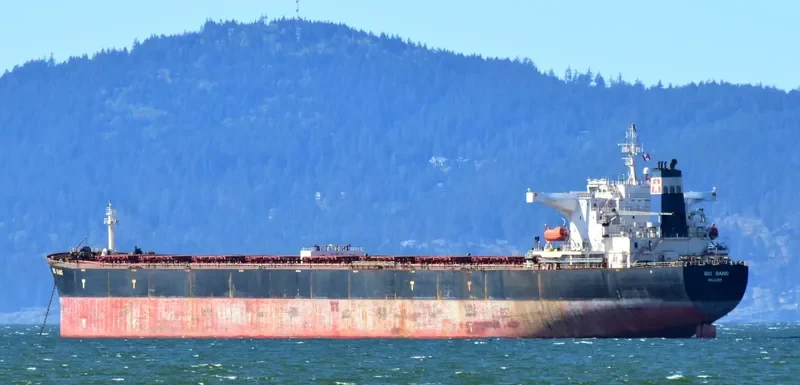 BIG BANG Bulk Carrier IMO 9347188 photo 6