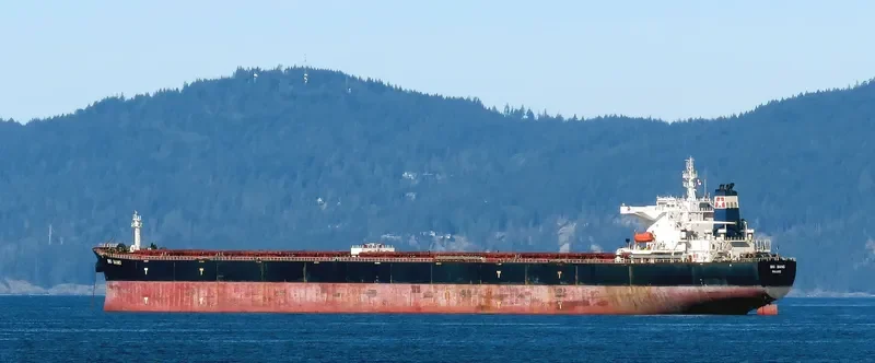 BIG BANG Bulk Carrier IMO 9347188 photo 7