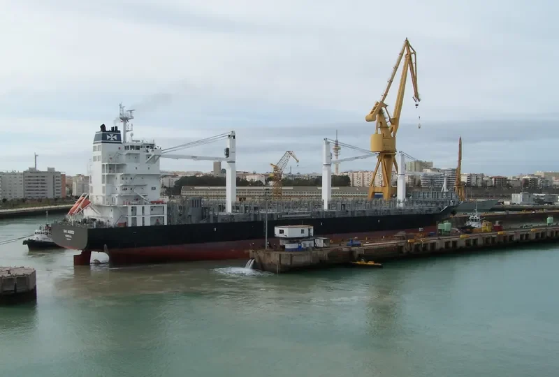 SAN ANDRES Container Ship IMO 9347255 photo 7