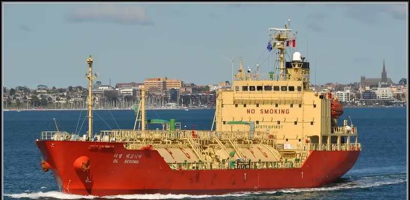 DL BEGONIA General Cargo IMO 9347475 photo 3