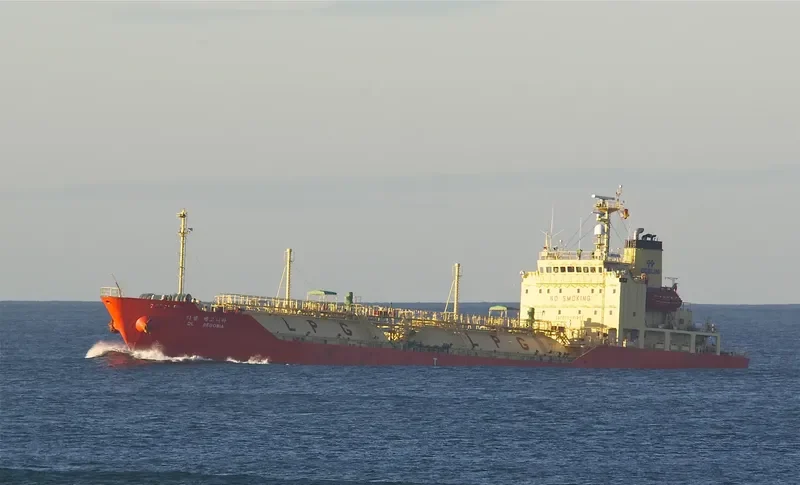 DL BEGONIA General Cargo IMO 9347475 photo 4