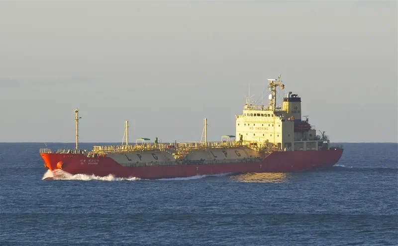 DL BEGONIA General Cargo IMO 9347475 photo 5