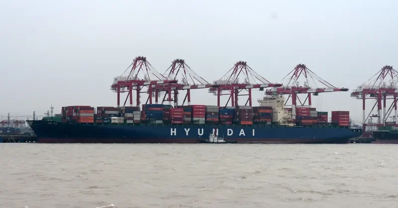 HYUNDAI FORCE Container Ship IMO 9347566 photo 6