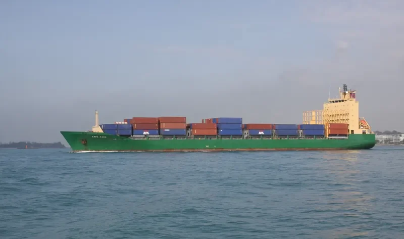 CAPE FARO Container Ship IMO 9347712
