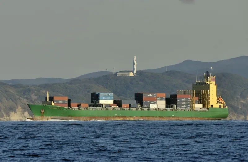 CAPE FARO Container Ship IMO 9347712 photo 3
