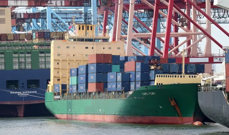 CAPE FLINT Container Ship IMO 9347724 photo 3