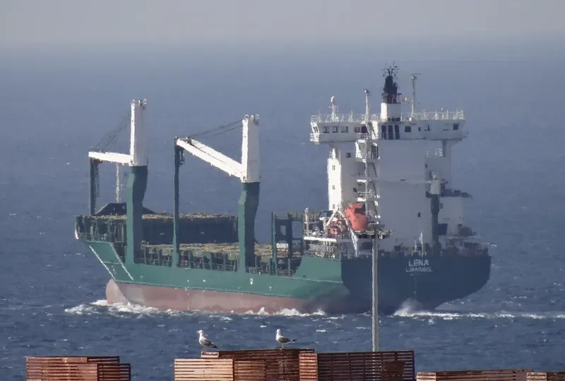 LENA Container Ship IMO 9347750