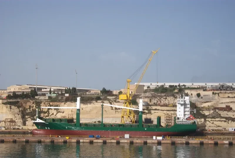 LENA Container Ship IMO 9347750 photo 2