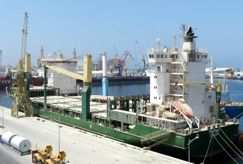 ANNE Container Ship IMO 9347803