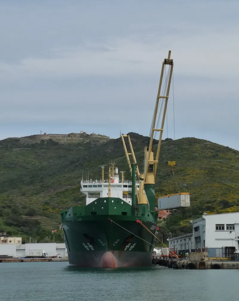 ANNE Container Ship IMO 9347803 photo 5