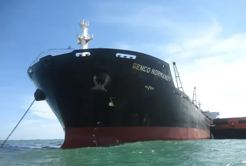 HG MELBOURNE Bulk Carrier IMO 9347877