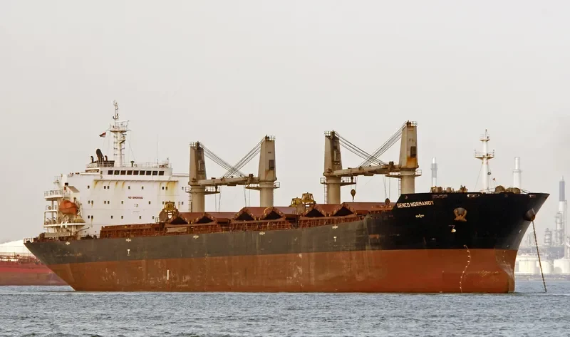 HG MELBOURNE Bulk Carrier IMO 9347877 photo 7