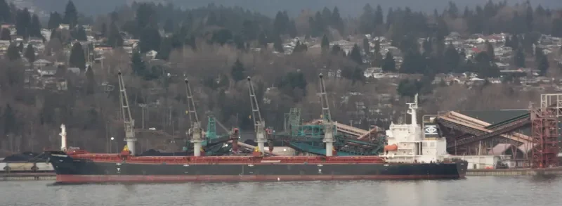 HG MELBOURNE Bulk Carrier IMO 9347877 photo 9