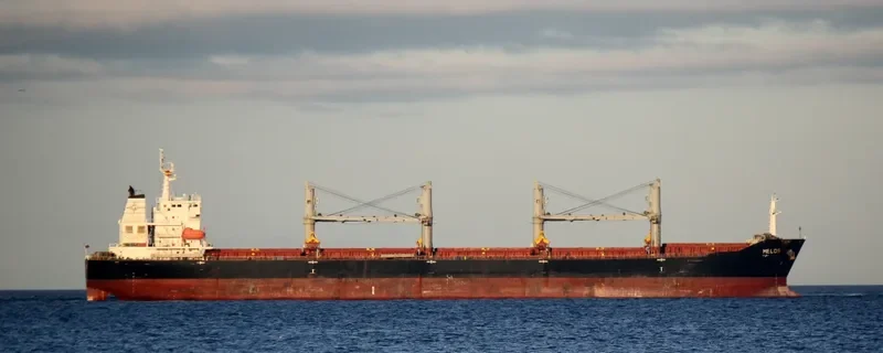 RICHMOND PEARL Bulk Carrier IMO 9347889