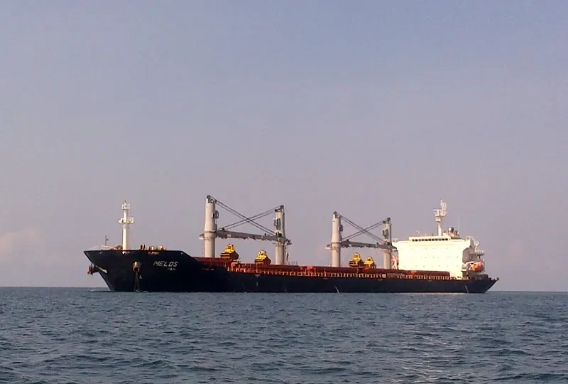 RICHMOND PEARL Bulk Carrier IMO 9347889 photo 3